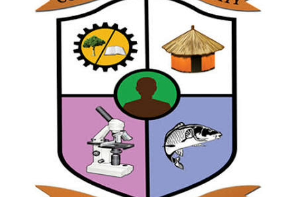 The Copperbelt University (CBU)